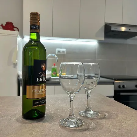 Tatil Evi House Misetic