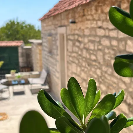 House Misetic Σπίτι διακοπών