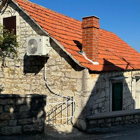 House Misetic