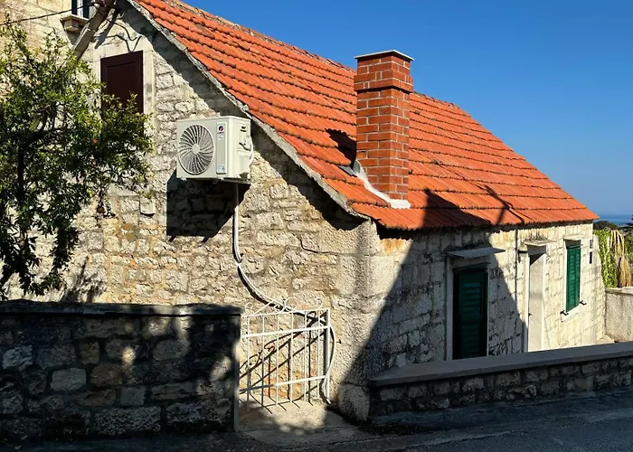 House Misetic